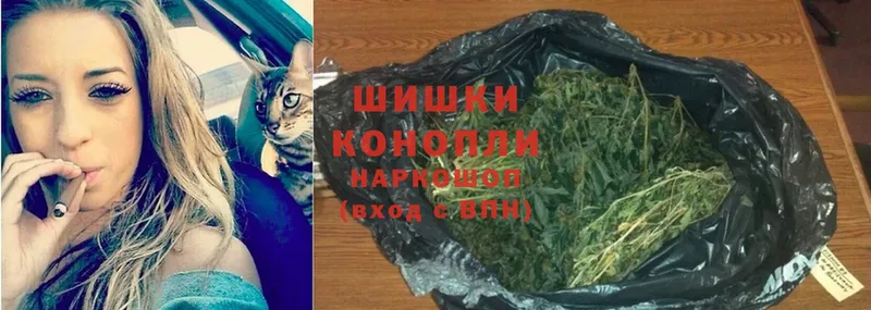 купить наркоту  Севск  Бошки Шишки гибрид 